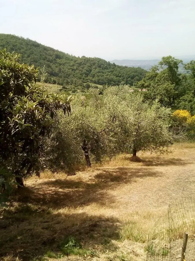 Holiday home Casa Renacci Villa Subbiano