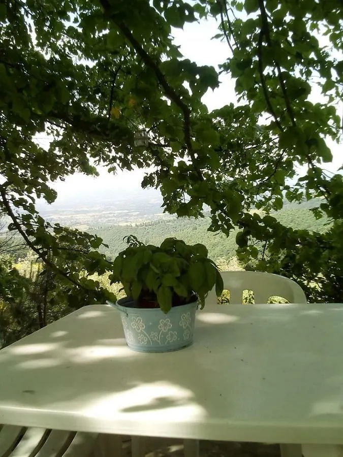 Holiday home Casa Renacci Villa Subbiano Italy