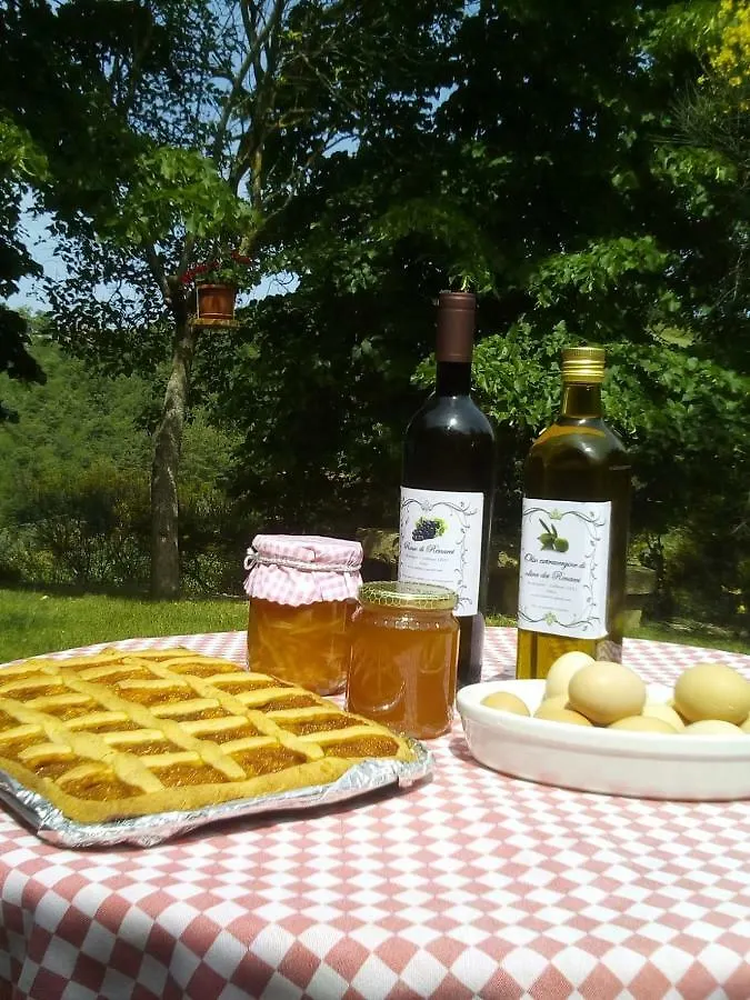 Casa Renacci Villa Subbiano Holiday home